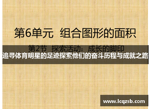 追寻体育明星的足迹探索他们的奋斗历程与成就之路